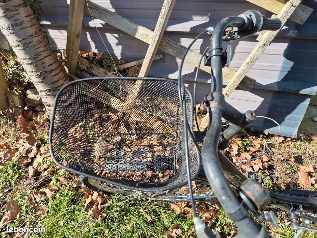 Vend vélo de femme (image 2)