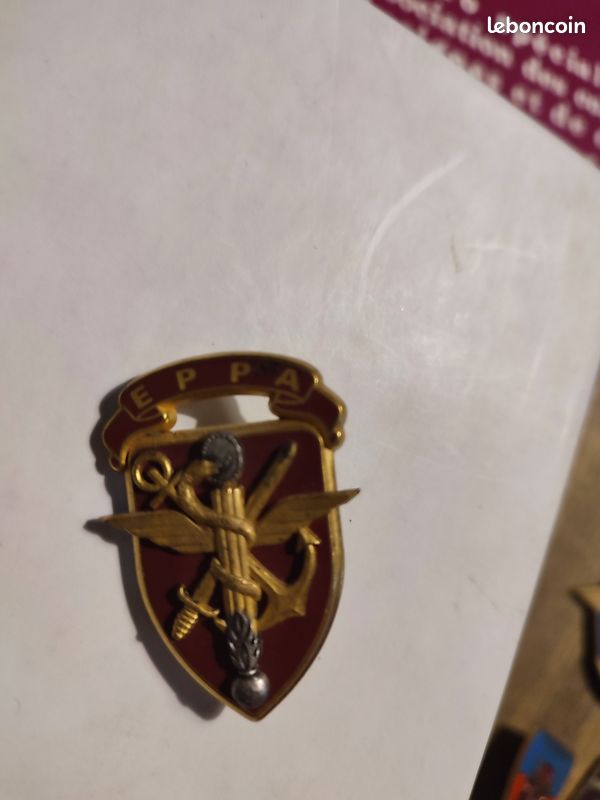 Insigne Escadron De Protection 42-101 Toulouse - LSART - Occasion Collection