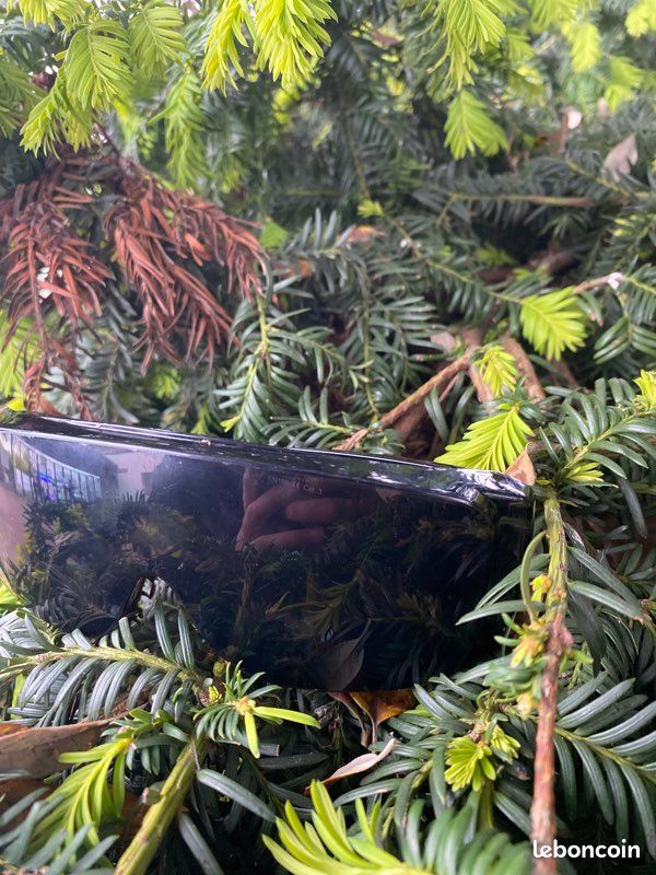 Lunette (image 2)