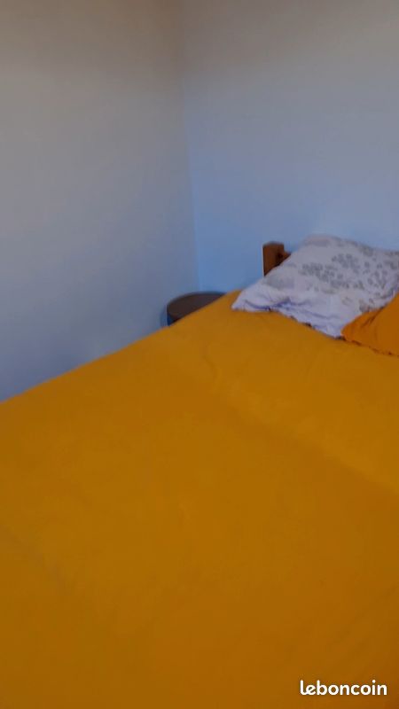Charmante maison Auvergnate (image 7)
