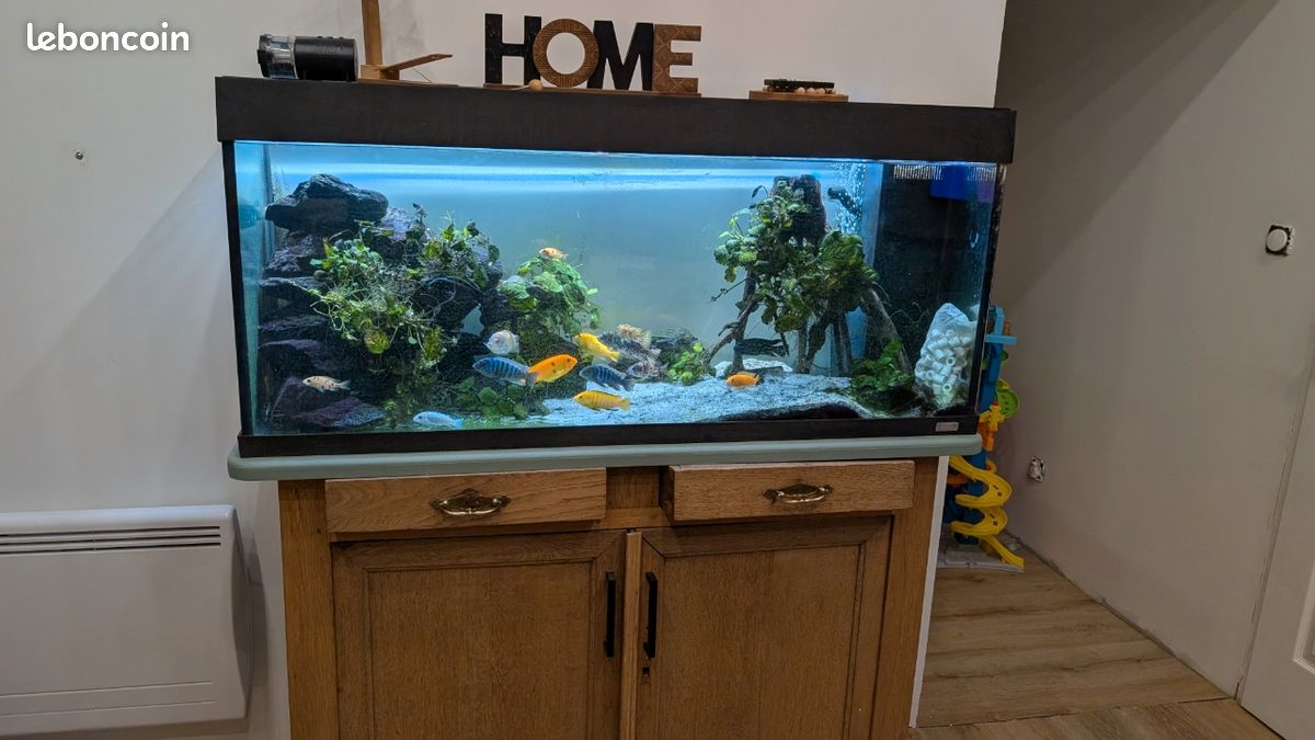 Aquarium juwel rio 250 (image 1)