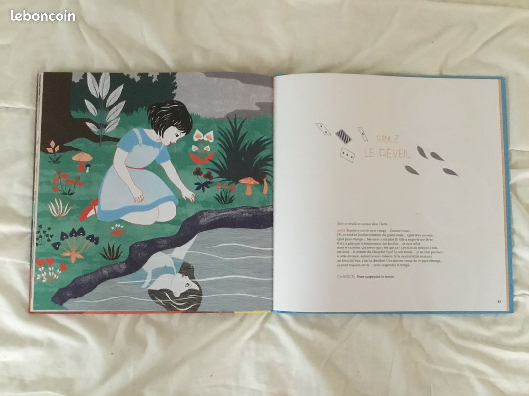 Livre grand format (image 5)