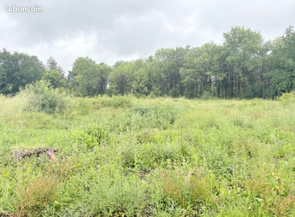 Terrain 1 270 m² Villematier · 88 000 €