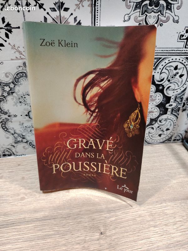 Gravé dans la poussière de Zoé Klein (image 2)