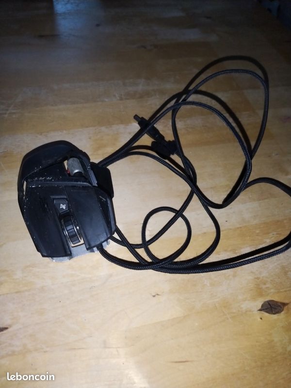 Souris (image 1)