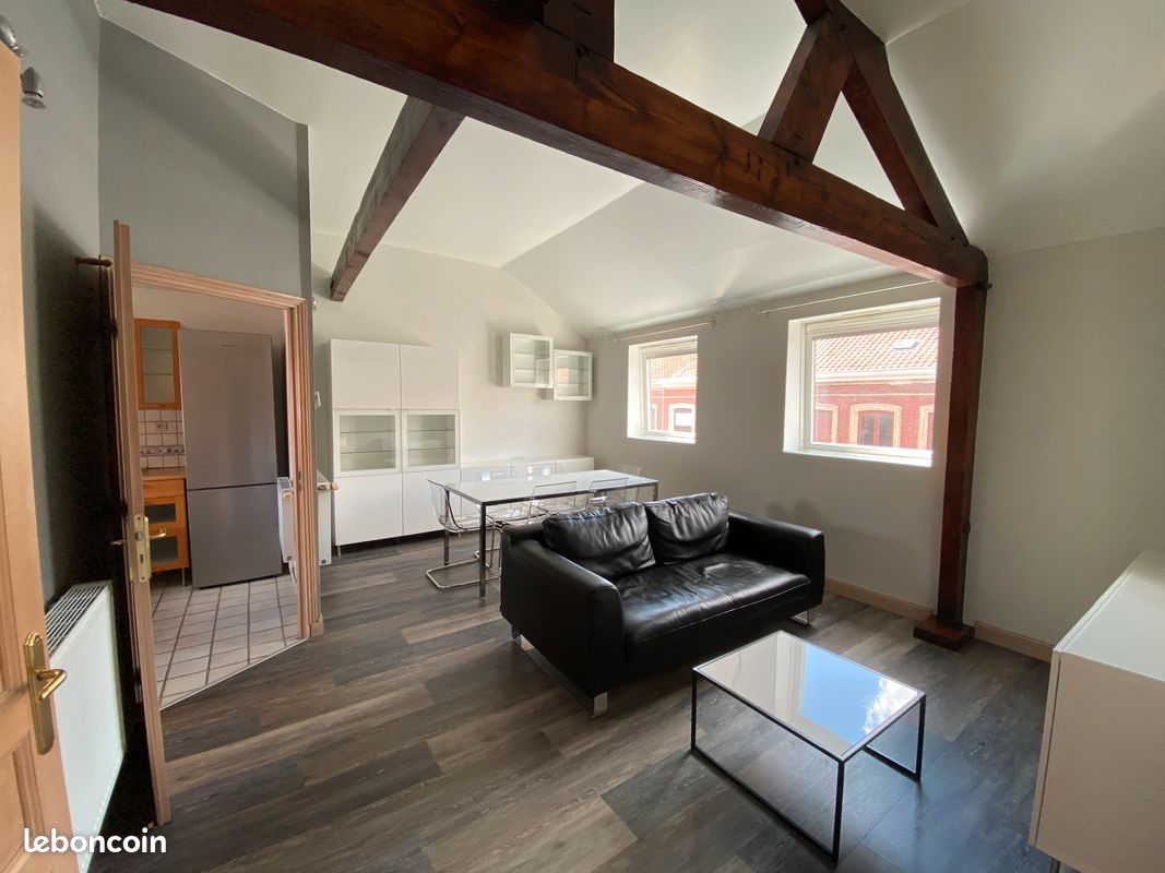 Appartement 2 pièces 50 m² · à Lille · 50 m² · 900 €