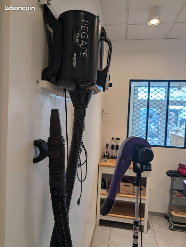 Pulseur séchoir professionnel Pégase Maestro 3000 W – Noir – 170 (image 2)