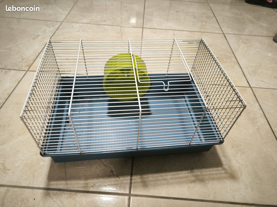 Cage hamster (image 1)