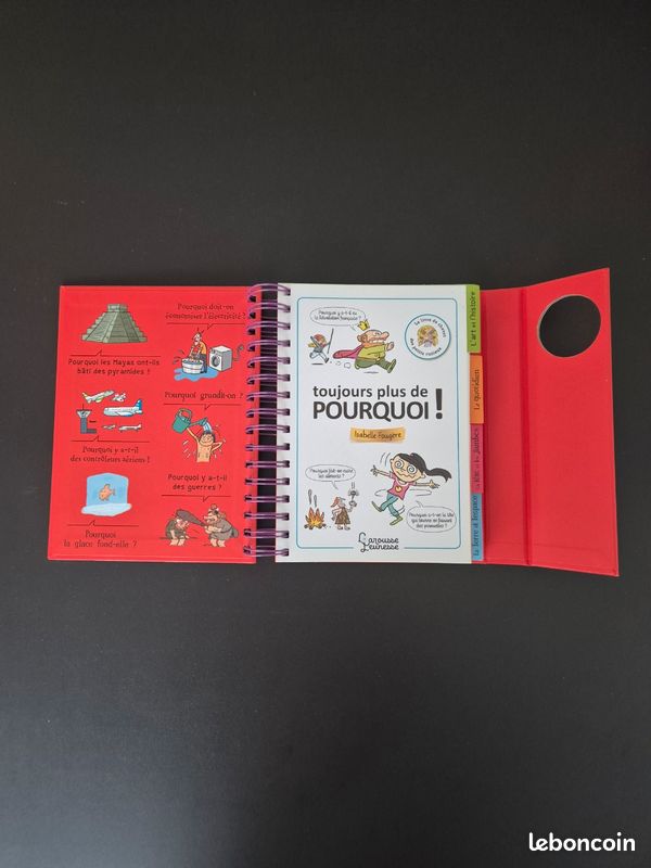 Livre: toujours plus de pourquoi (image 3)