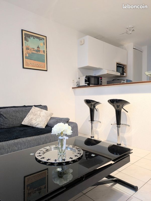 Appartement T2 proche hypercentre (image 2)