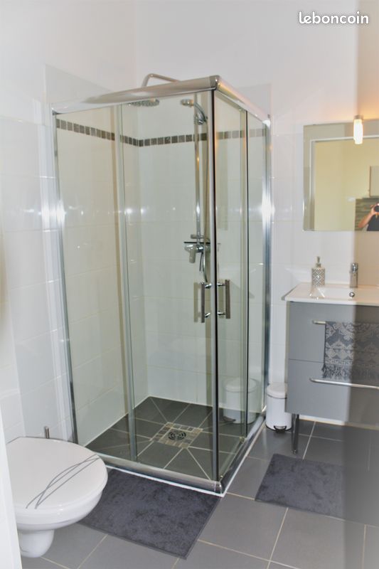 Joli appartement t2 meuble - Tonnay-Charente 17430 (image 3)
