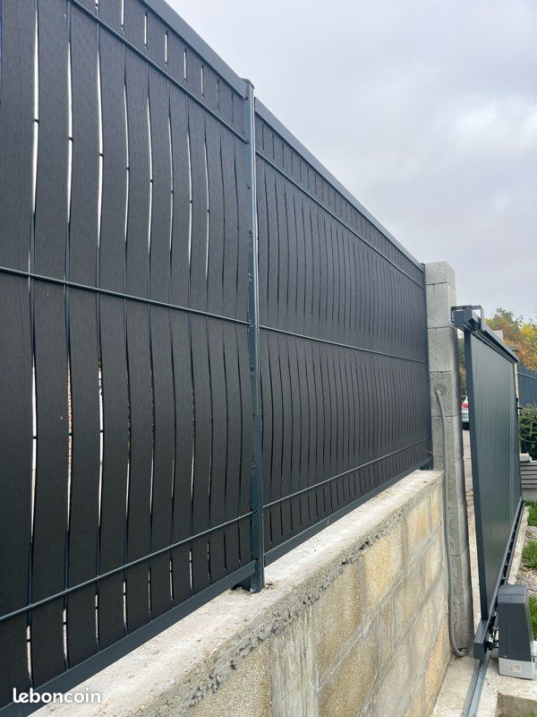 Composite (image 6)