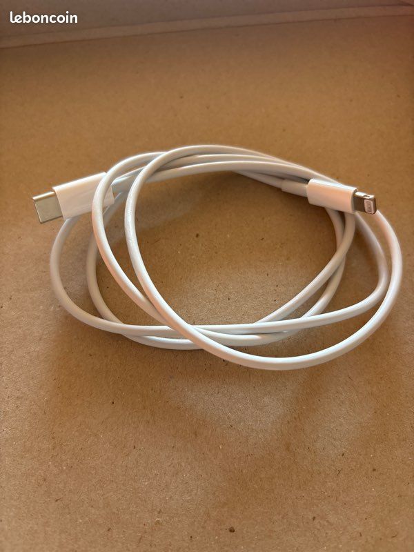 Câble Lightning / usb C (image 1)