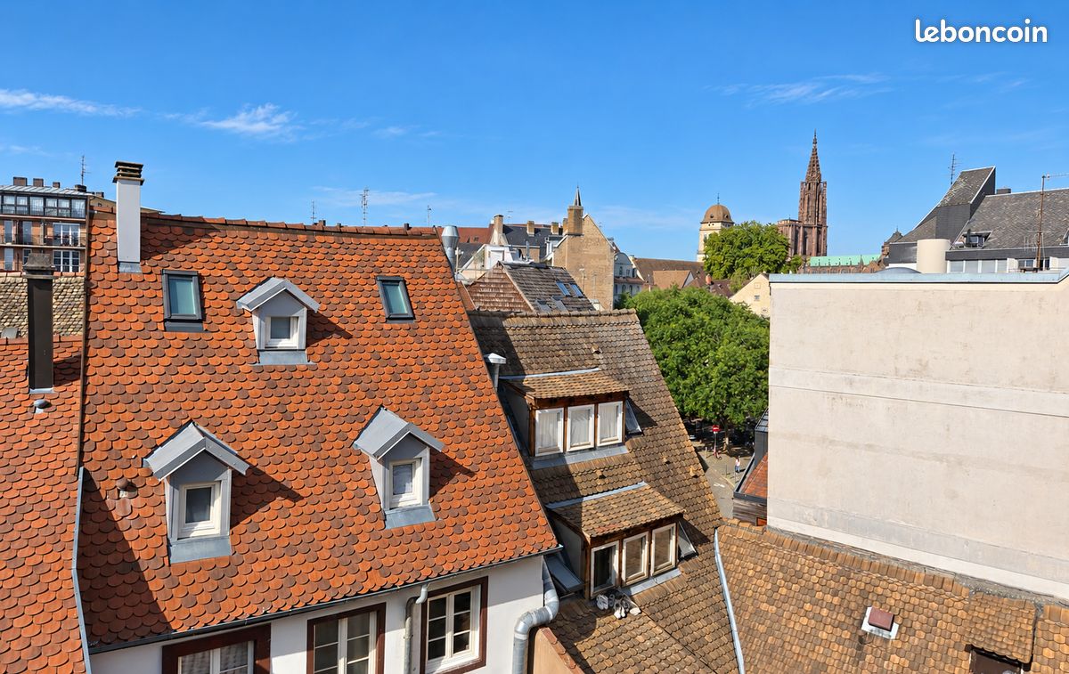 Krutenau – duplex au dernier étage avec vue cathédrale – famille ou investissement (image 3)