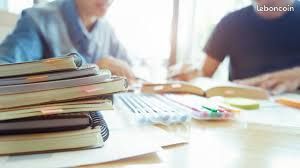 Soutien pcours par ccompagnement prof experimente toutes matieres primaire-college-lycee (image 1)