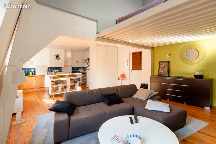 Appartement type loft 48 m2 Dellile