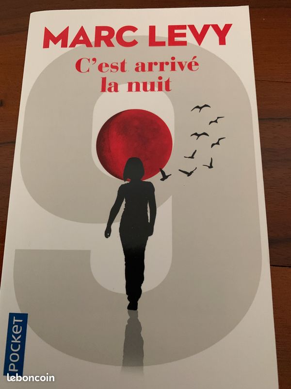 C'est arrivé la nuit de Marc Levy (image 1)