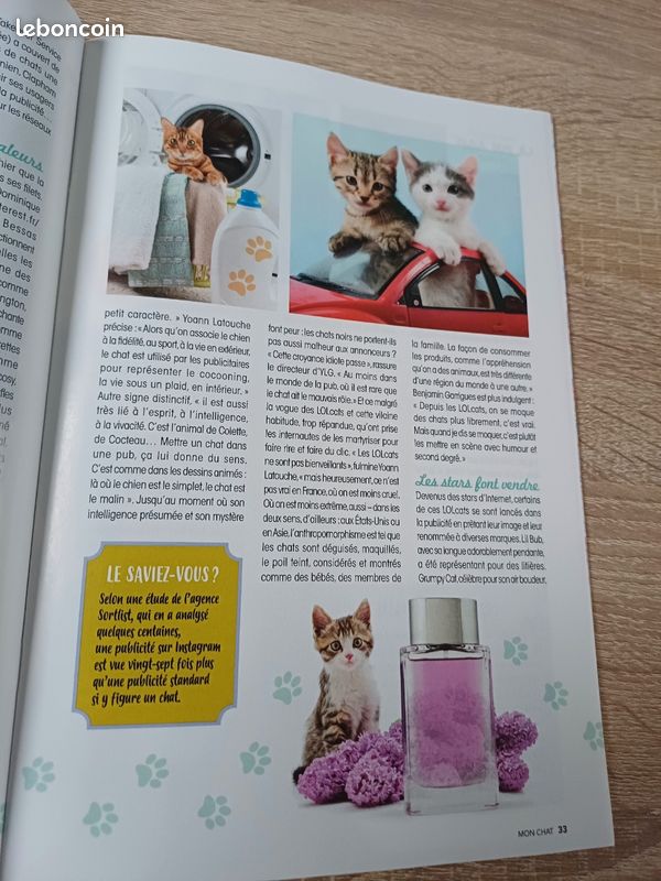 Magazine Mon Chat (image 7)