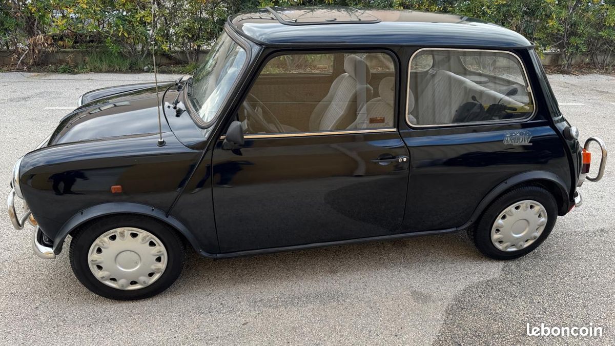 Rover Mini Sealine (image 2)
