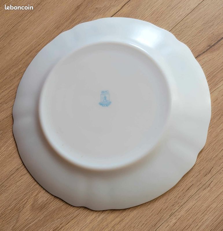 Plat arcopal (image 2)