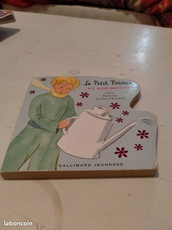 Le petit prince et son jardin (image 1)