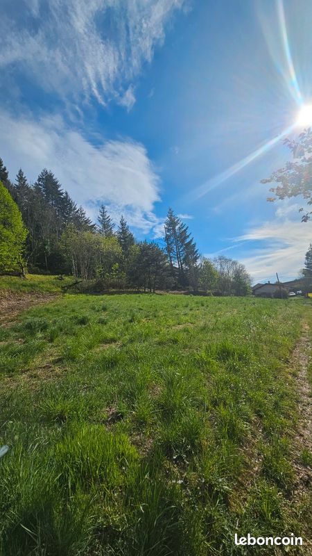 Terrain de 2197m2 · à Vocance · 50 000 €