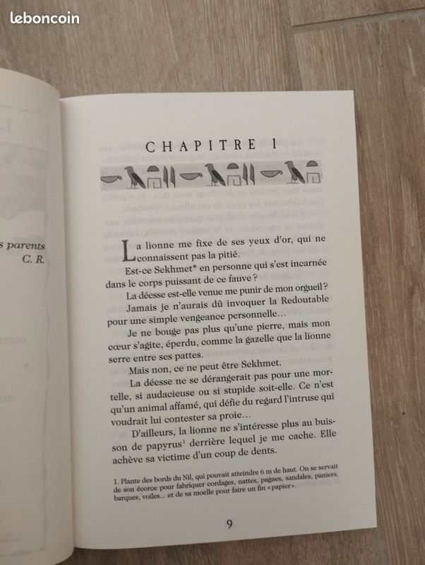Livre la lionne et le pharaon (image 4)