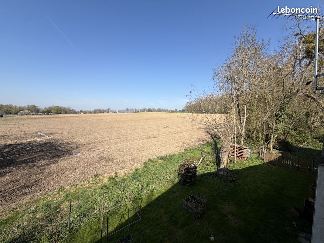 Maison 7 pièces 269 m² (image 20)