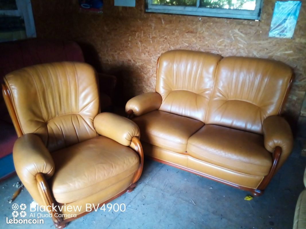 Canapé et fauteuil (image 1)