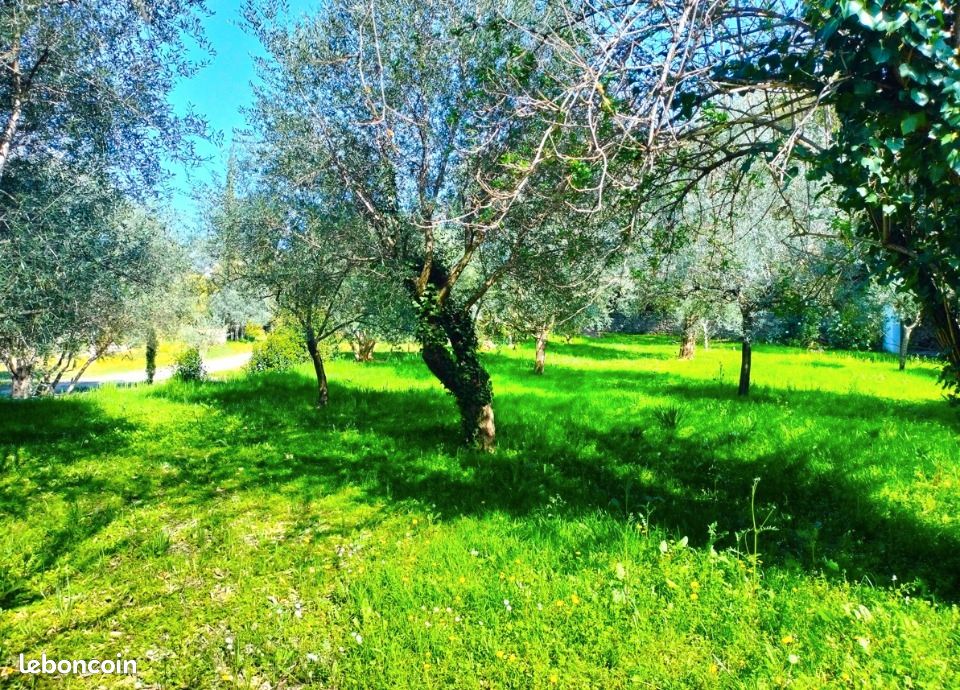Terrain 1 000 m² Draguignan · 167 000 €