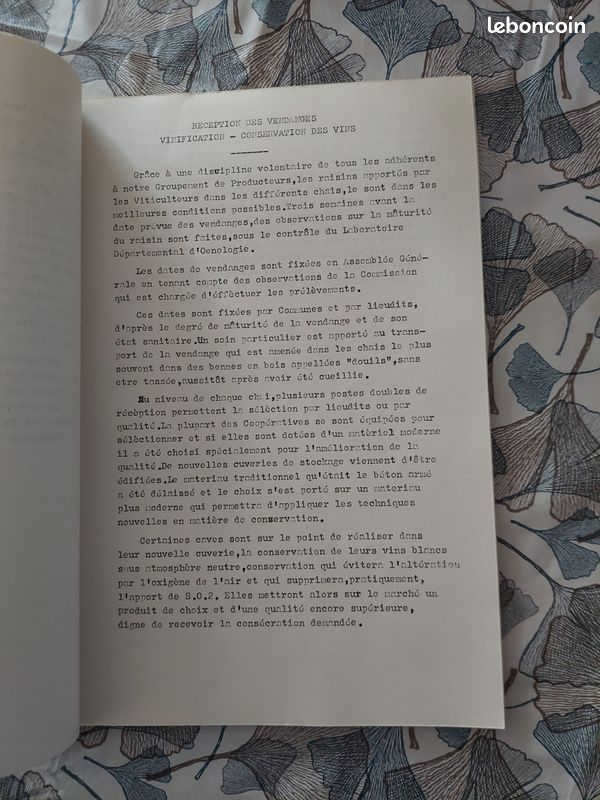 Dossier de demande d'appellation noble Viré (image 2)