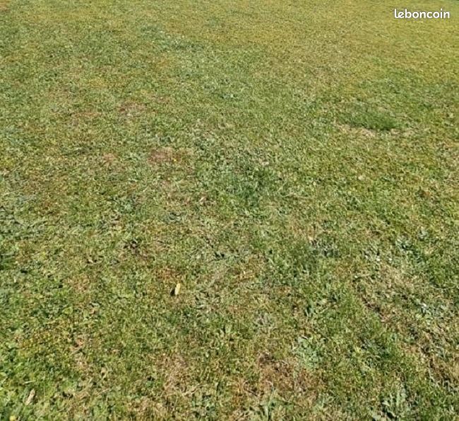Terrain 374 m² · au Plessis-aux-Bois · 134 000 €