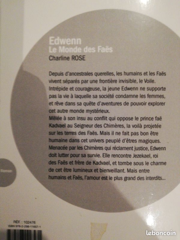 Edwen 1 Le monde des Faës (image 3)
