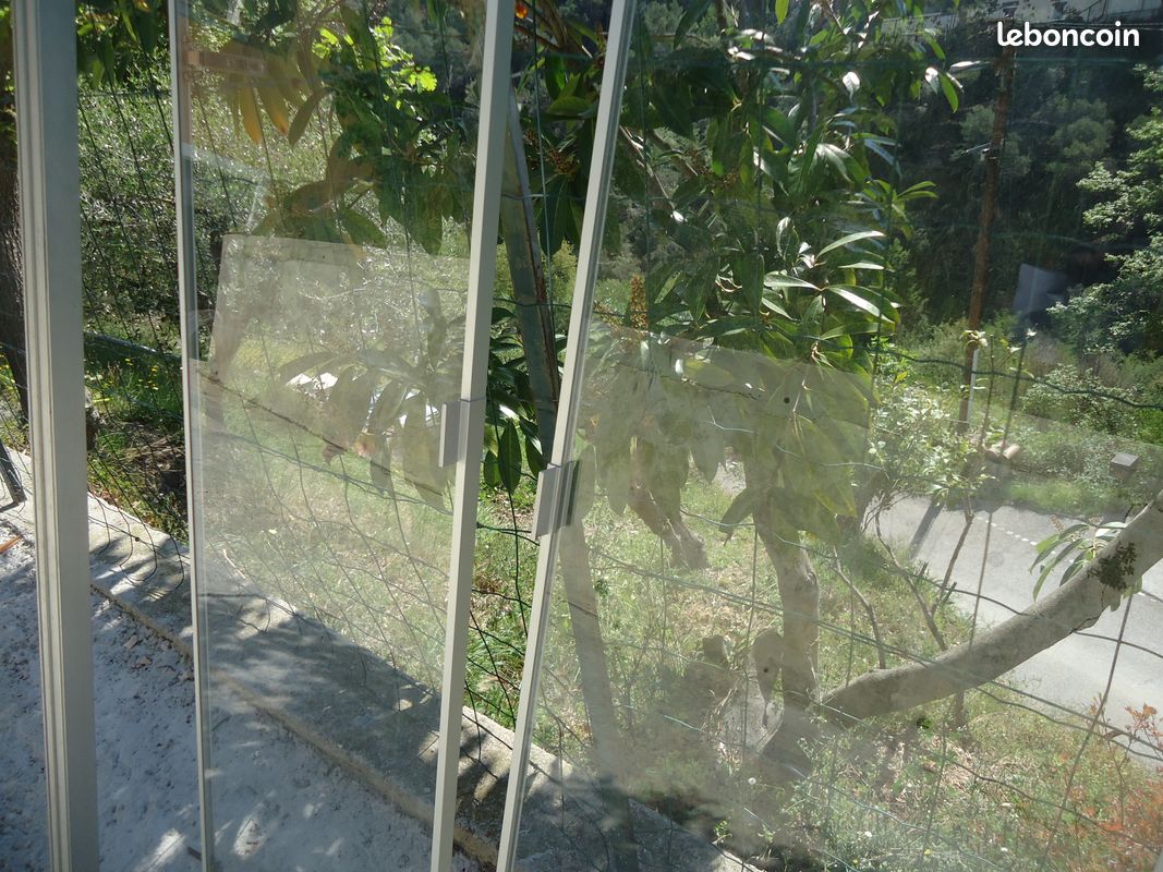 Deux portes vitrees (image 2)