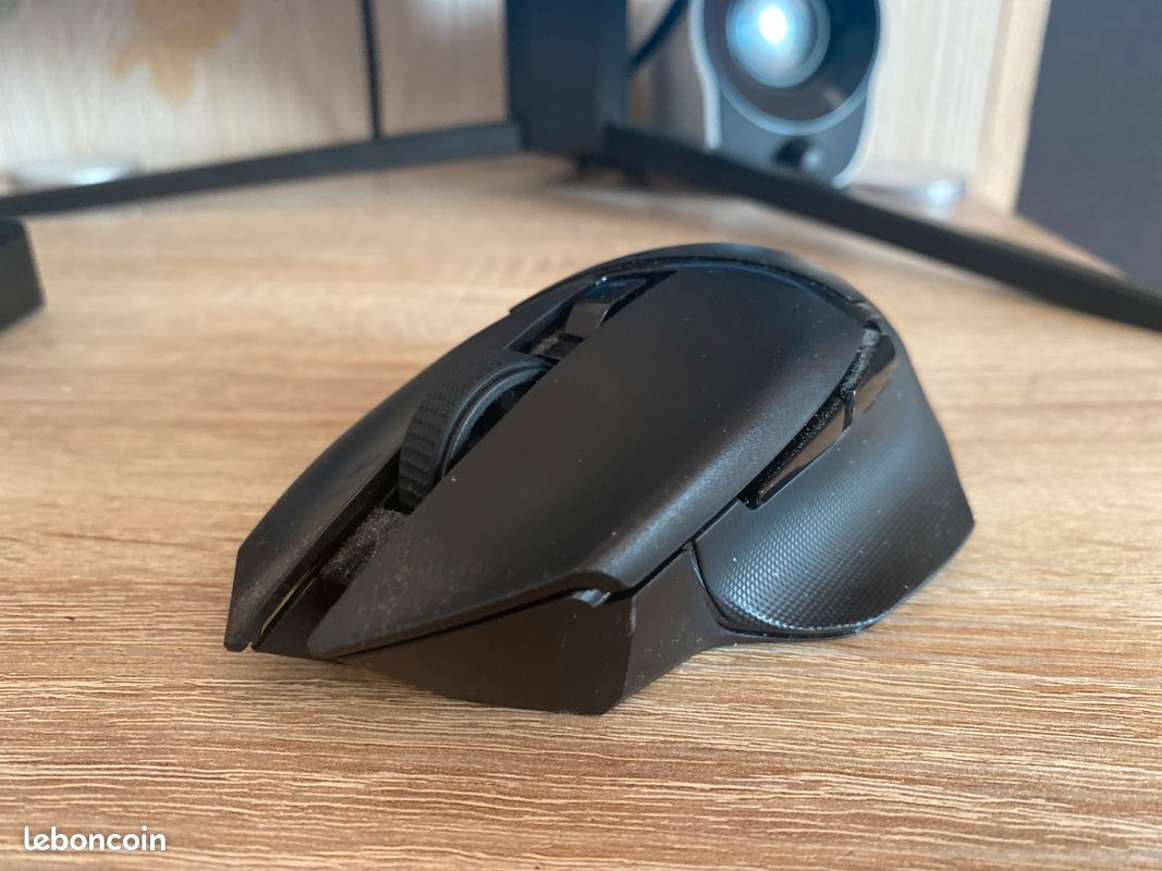 Souris (image 2)