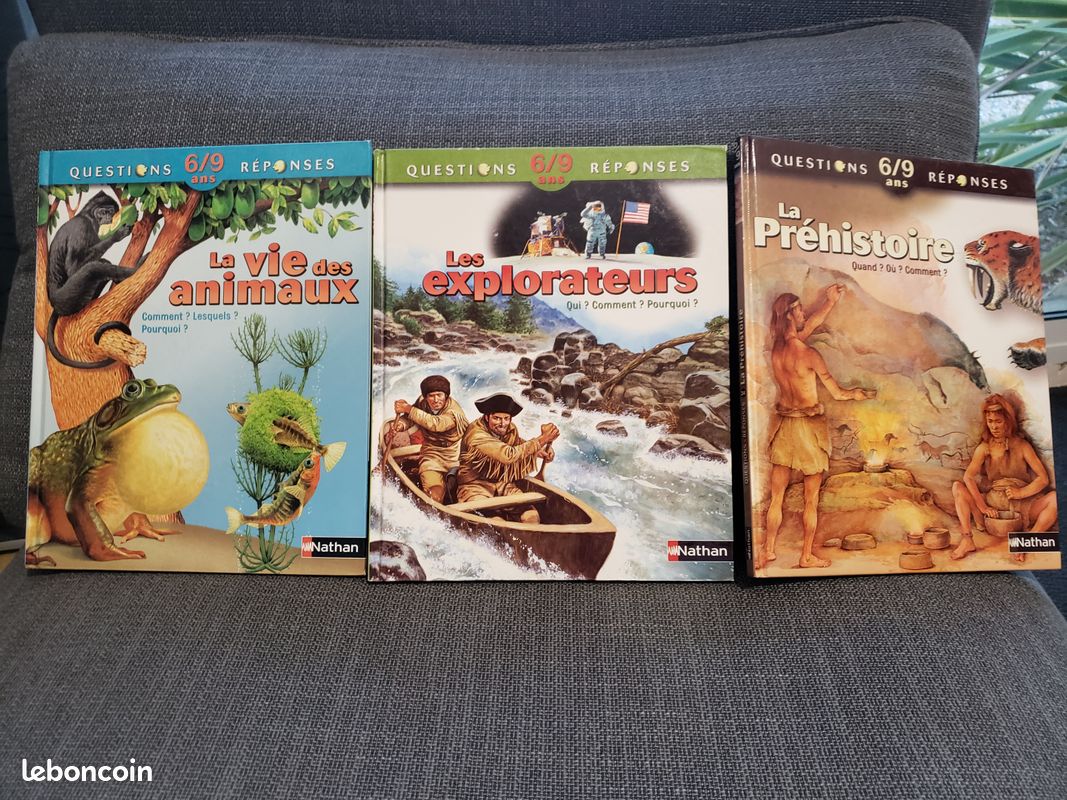 Lot de 3 livres Questions Réponses (image 4)