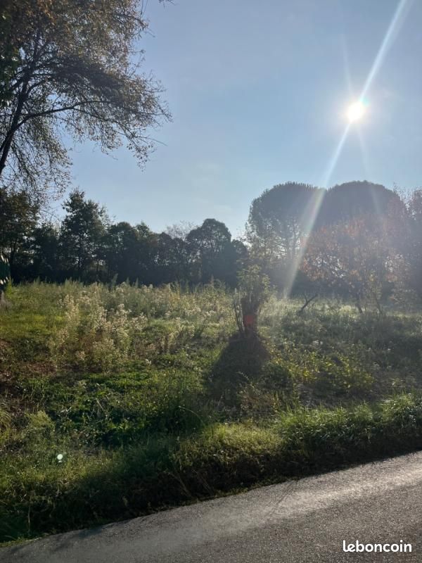 Terrain 504 m² Albi · 55 000 €