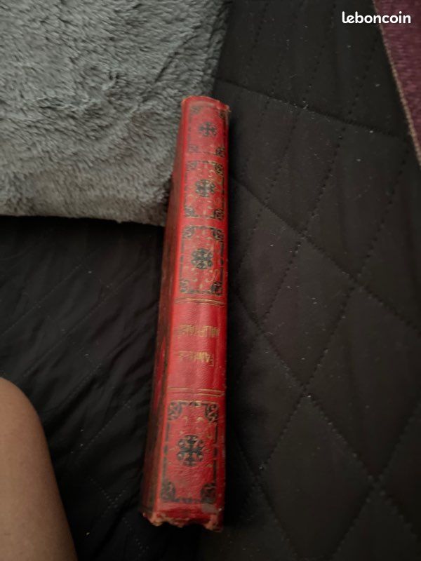 Livre très ancien la famille naufragée pas de livraison (image 3)