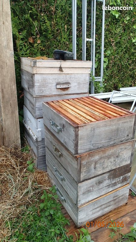Chalet en boit d'occasion - Jardin & Plantes - leboncoin - page 3