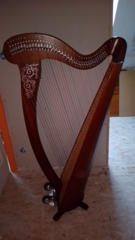 Harpe d'occasion - Annonces Instruments de musique leboncoin