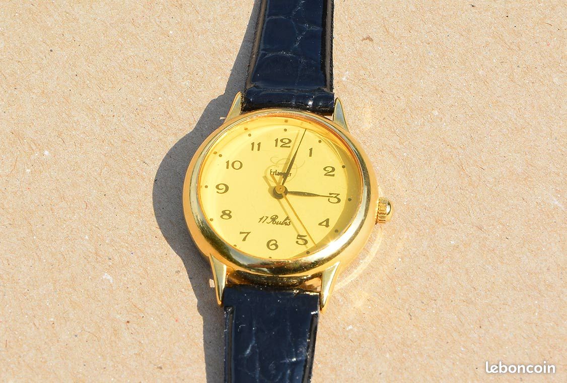 Montre Erlanger 17 Rubis Antichoc (image 1)
