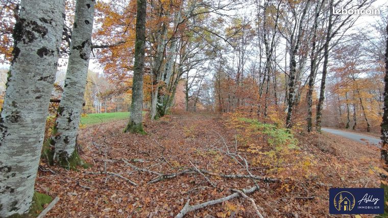Terrain 2500 m² Palisse