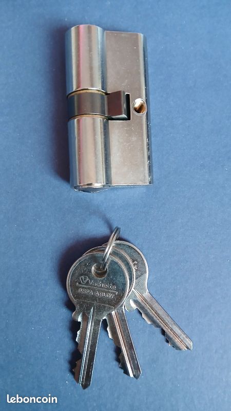 Cylindre de porte 30x30 Vachette ASSA ABLOY (image 7)