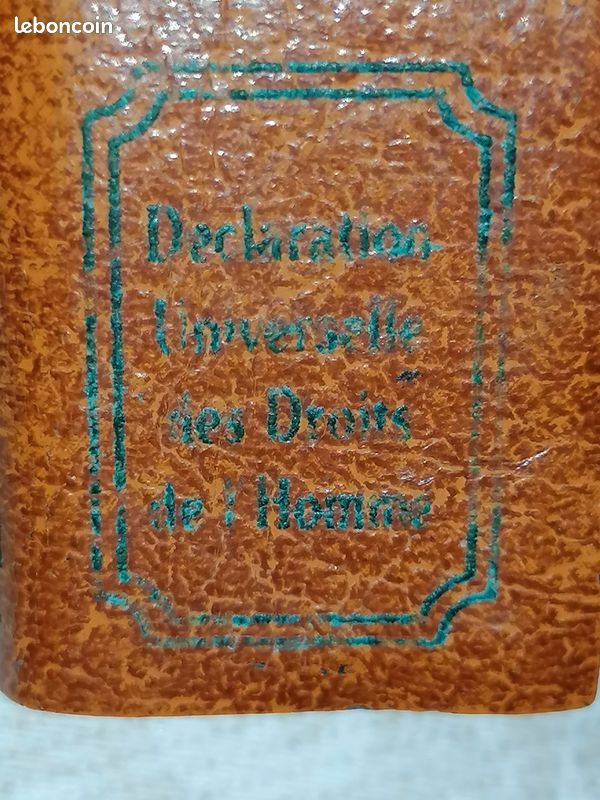 Pin's livre des droits de l'homme (image 2)