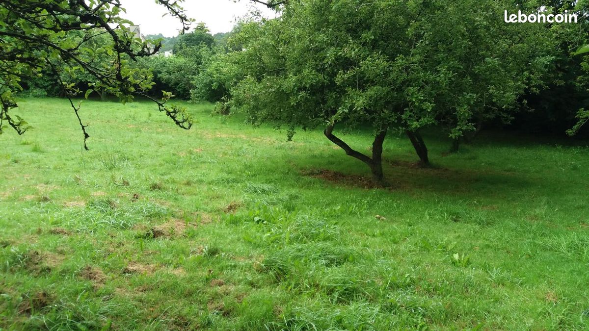 Terrain 469 m² · à Plurien · 123 050 €