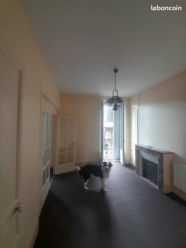 Appartement 45 m2 - Limoges 87000 (image principale 1)
