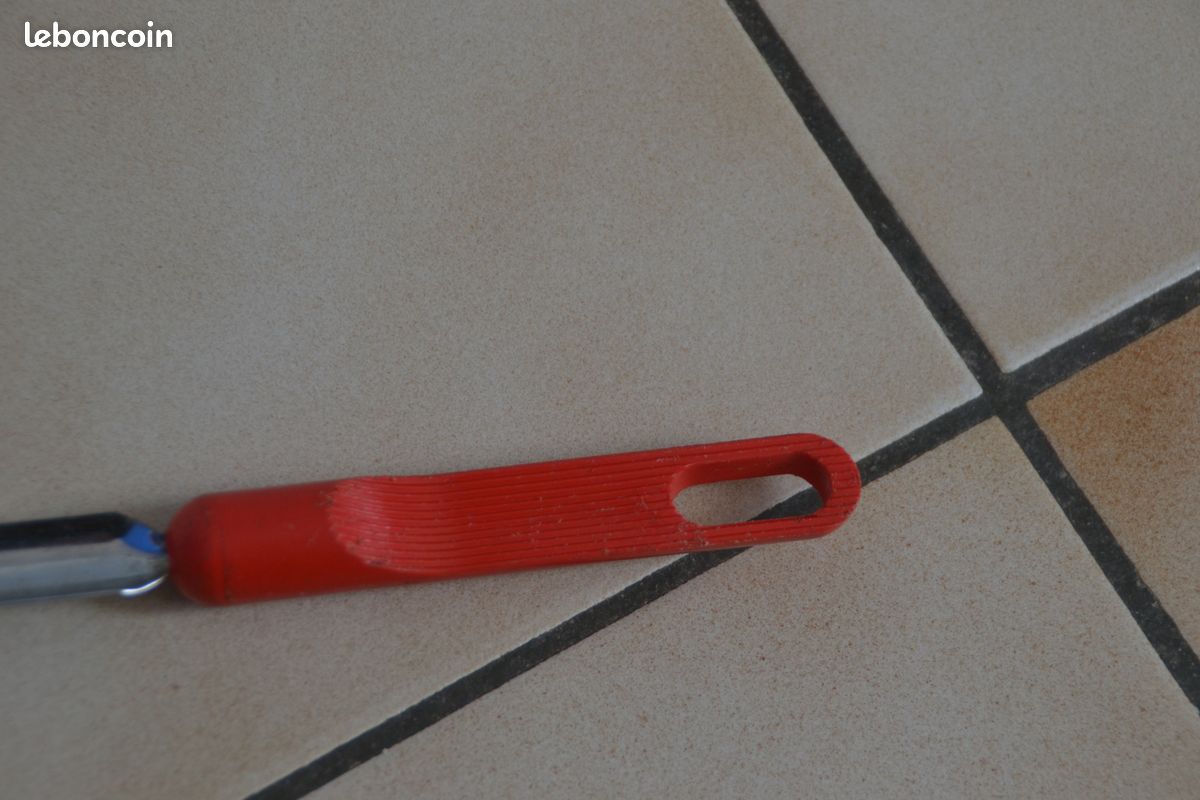 1 épépineur (image 5)