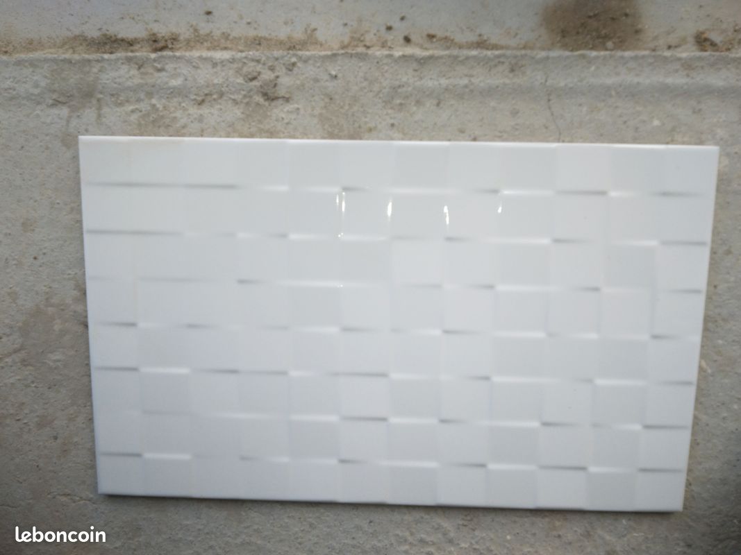 Faïence salle de bain (image 2)