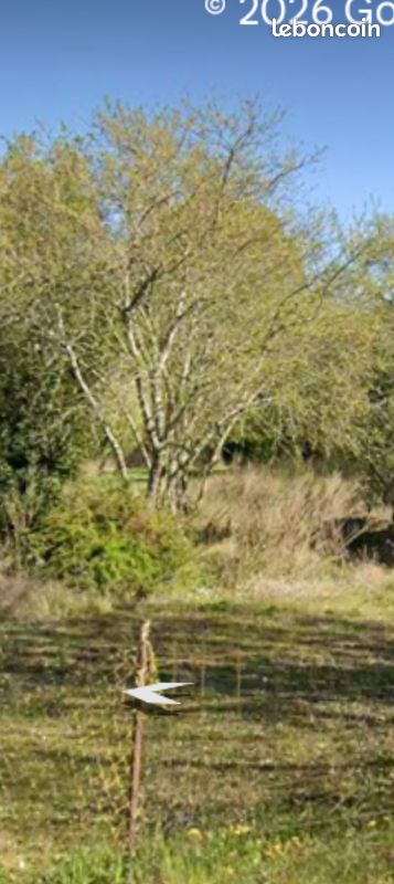 Vente terrain de loisir · à Marmagne · 12 000 €