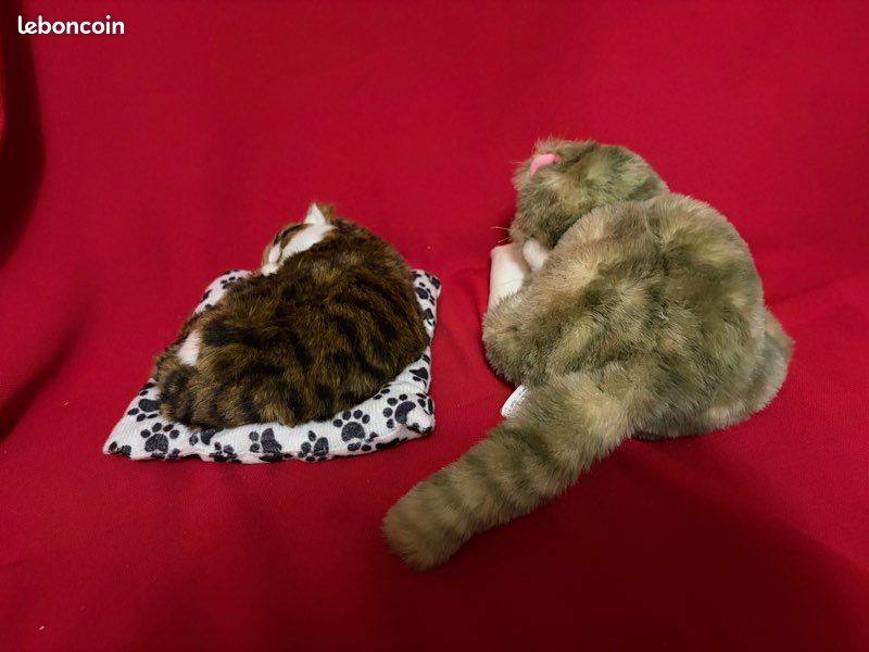 Chats (image 6)
